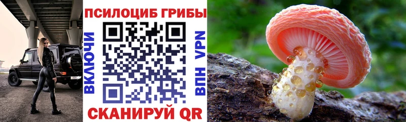 Галлюциногенные грибы прущие грибы магазин Тула